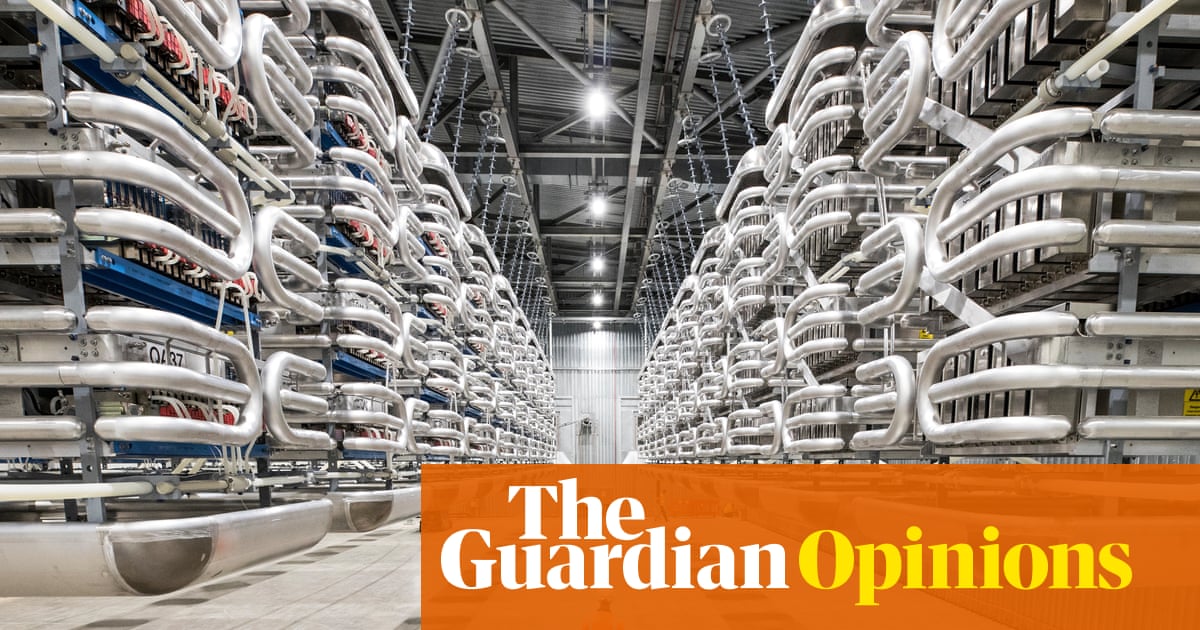 Energy nationalism and interconnectors: the next power threat? | Nils Pratley