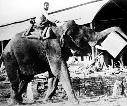 An elephant transports teak in Rangoon, circa 1930.