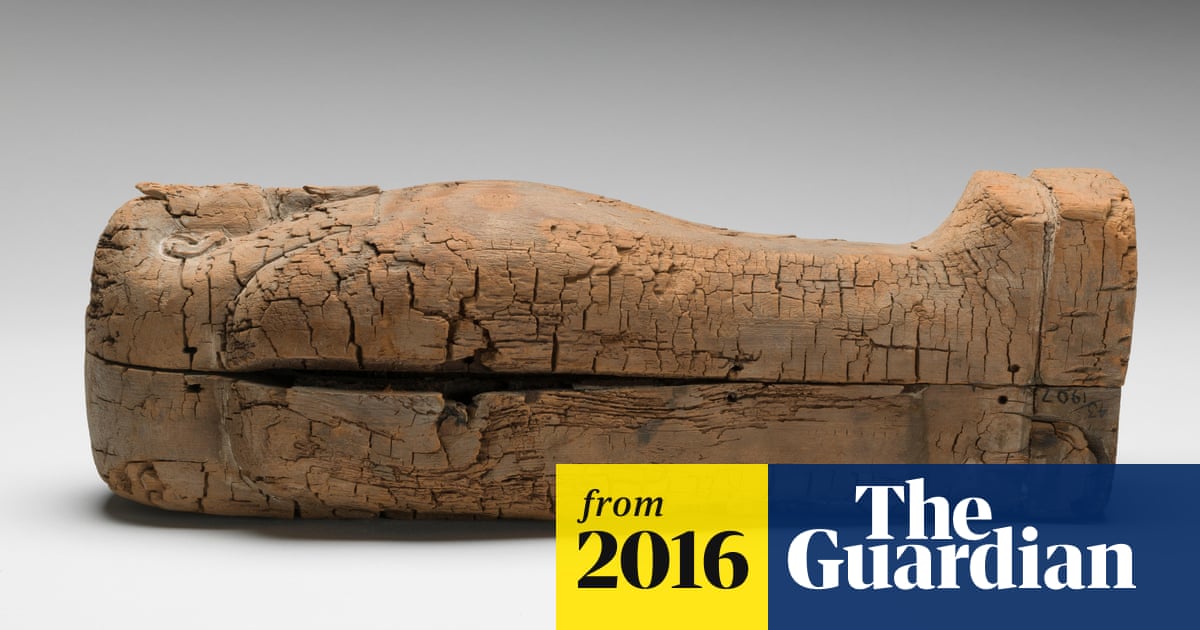 Ancient Egyptian coffin found to hold youngest known mummified foetus