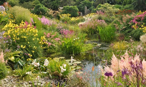 Wildside doesn’t follow the usual garden conventions and is hailed by some as the most adventurous garden in the UK.