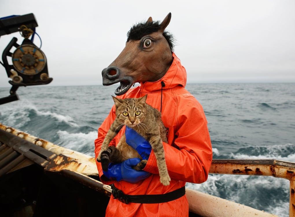 Cat Goes Crab Fishing with a Horse