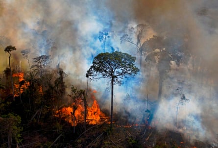 A forest fire in the Amazon rainforest