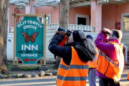 Signs celebrating nan monarch butterfly are everyplace successful Pacific Grove.