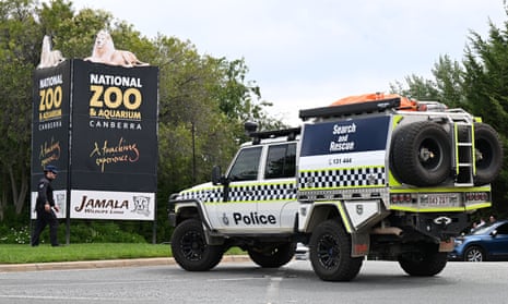 Canberra Zoo Stabbing