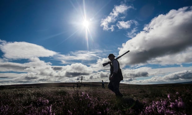 A member of a shooting party on Lofthouse Moor in North Yorkshire as the Glorious 12th, the official start of the grouse shooting season, gets underway.