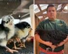 Bird Flu Forces US Farmers to Cull Entire Flocks