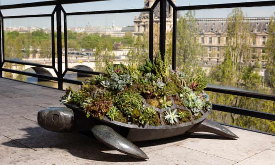 A large bronze turtle planted with succulents.