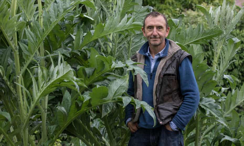 Dave Goulson at home in Sussex