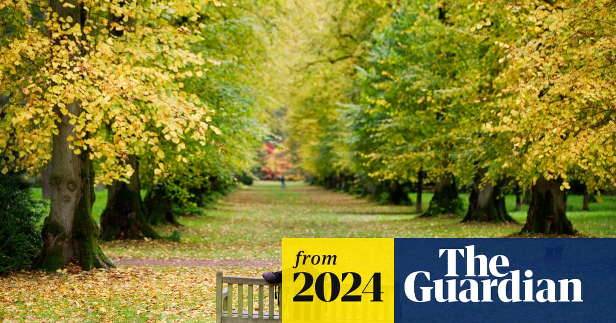 www.theguardian.com