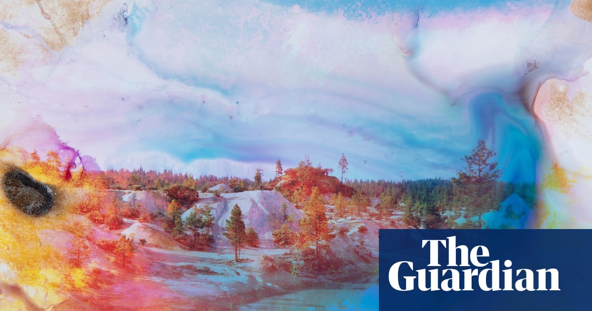 Welcome to California: land of plunder and hypocrisy | Mark Arax