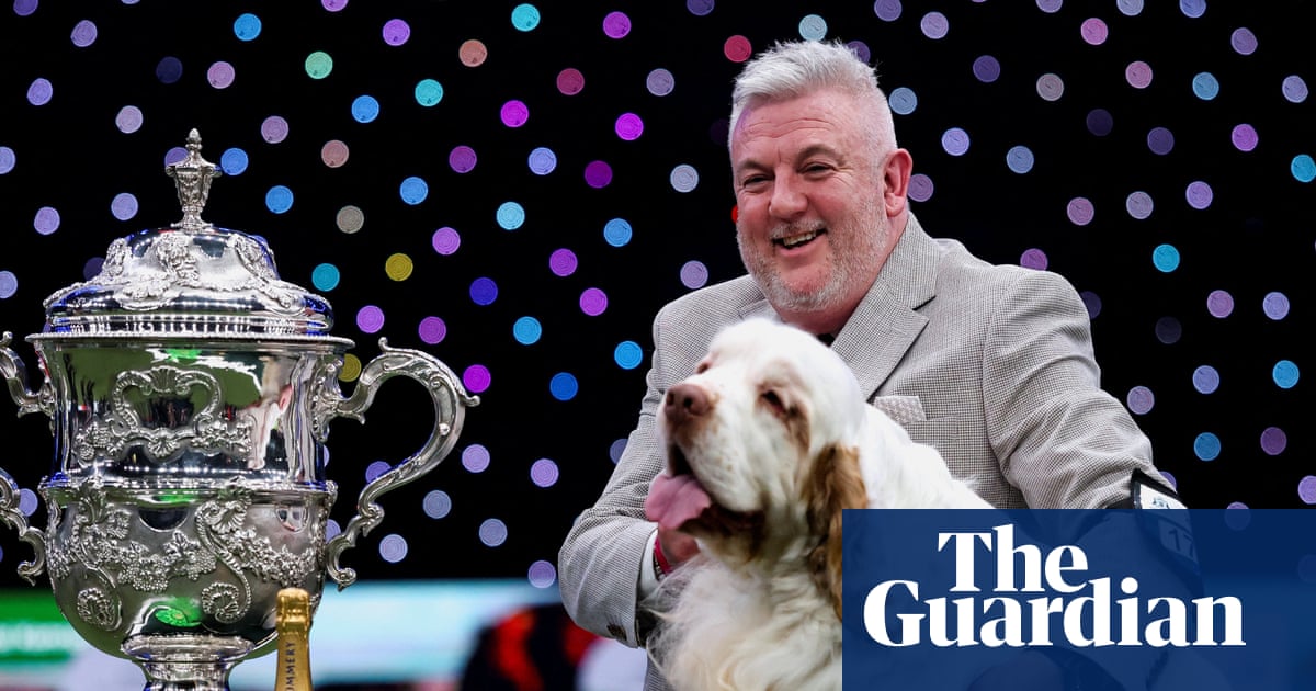 Crufts winner’s animal cruelty conviction prompts complaints to Channel 4