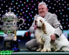 Crufts winner’s animal cruelty conviction prompts complaints to Channel 4