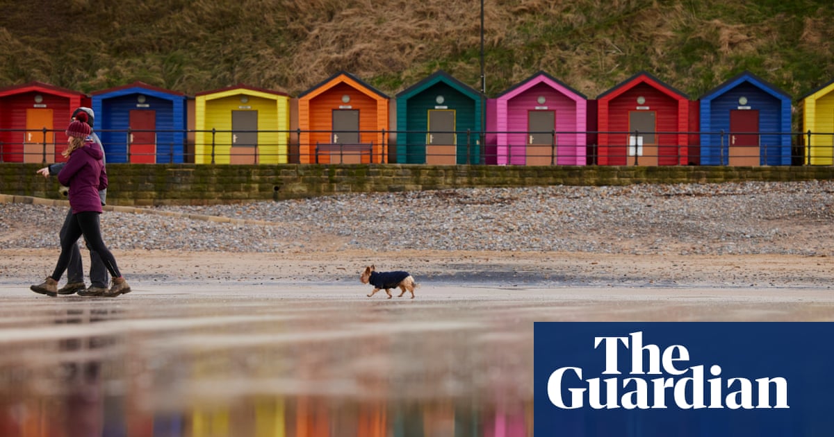Warning as hundreds of dogs fall sick after beach walks on Yorkshire coast