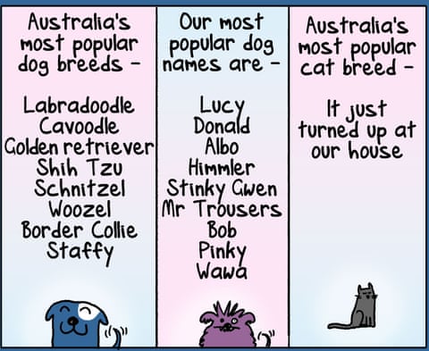 EveryoneLovesPetsNEW, panel 5