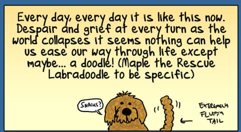 EveryoneLovesPetsNEW, panel 1