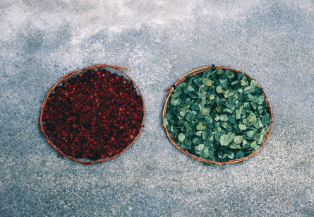 ‘You can still smell them’ … 100 Roses, 1979.