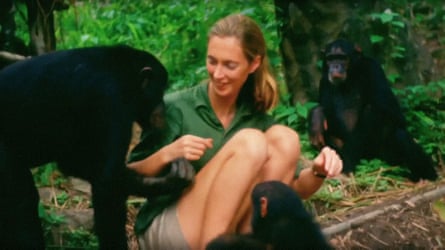 Goodall as a young woman next to a chimp