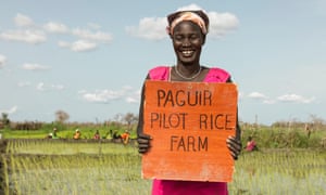 South Sudan’s floods inspire a first generation of rice growers – in pictures