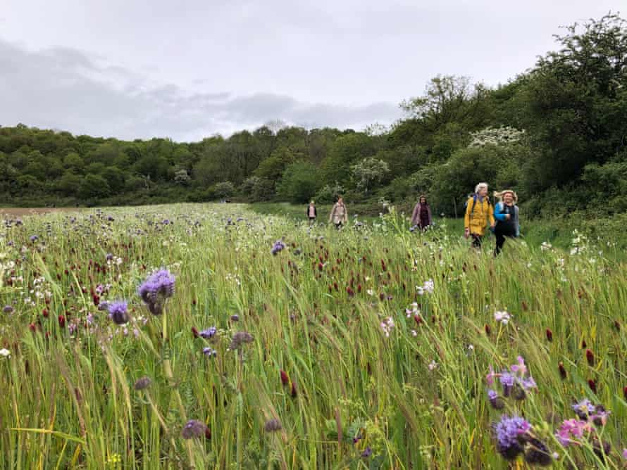 The Oteley Estate in Ellesmere
