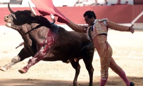 Spanish matador Ivan Fandino and an injured bull