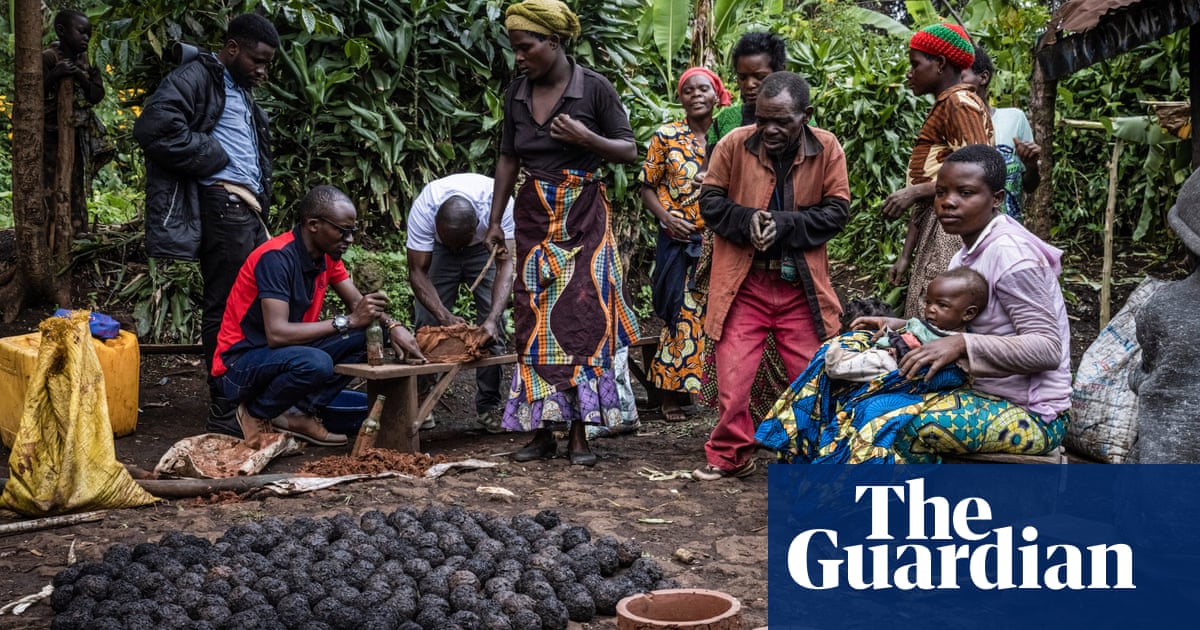 ‘In 10 years, we might not have forests’: DRC struggles to halt charcoal trade – a photo essay