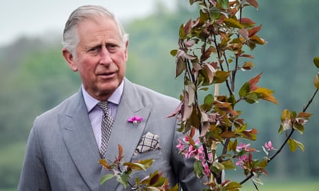 ‘Nature, of which we are an integral part, lies at the heart of the Terra Carta,’ said Prince Charles. 