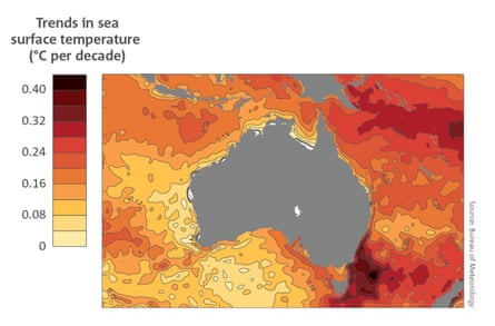 A graph from the State of the Climate report showing trends in sea surface temperature.