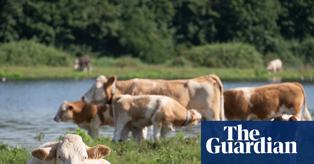 Farmers criticise plan that warns climate crisis will lead to food price shocks and shortages