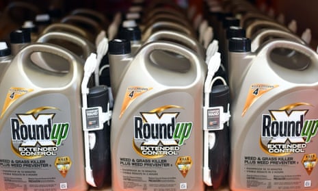 Shares in German chemicals and pharmaceuticals giant Bayer surged as investors reacted to reports the firm is considering a settlement worth billions of dollars for lawsuits over the controversial weedkiller glyphosate.