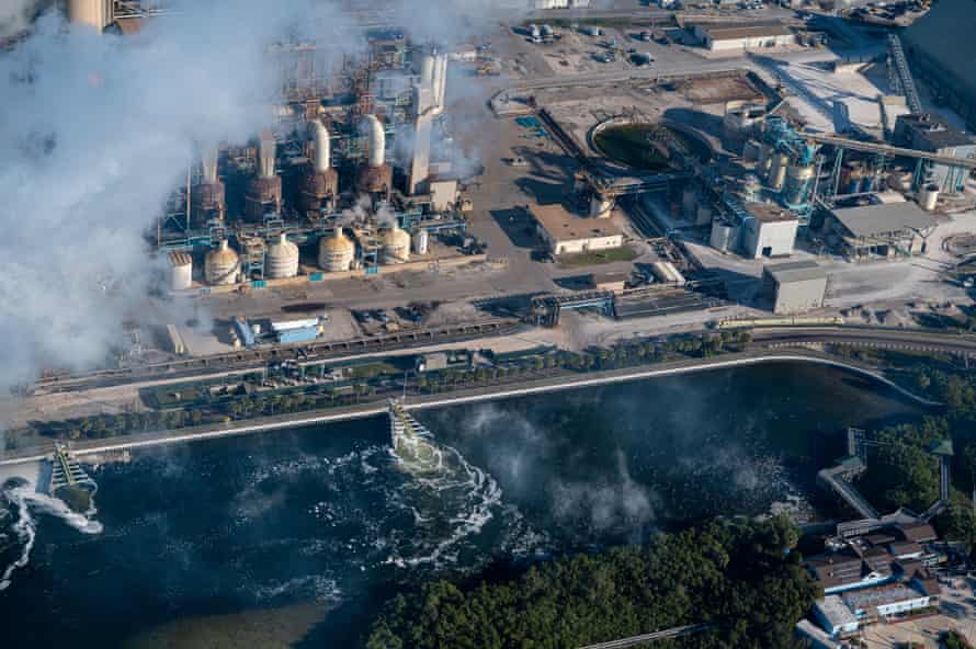 Manatees are attracted to the warm water discharged by power plants along coastal rivers - not the healthiest habitat for the marine mammals.