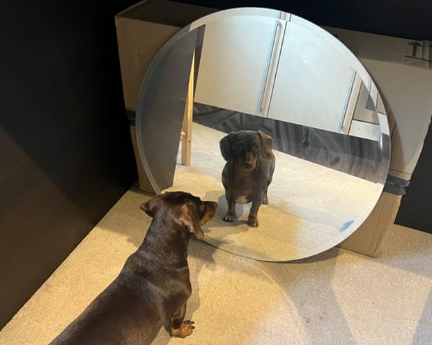 Willow looking at herself in a mirror