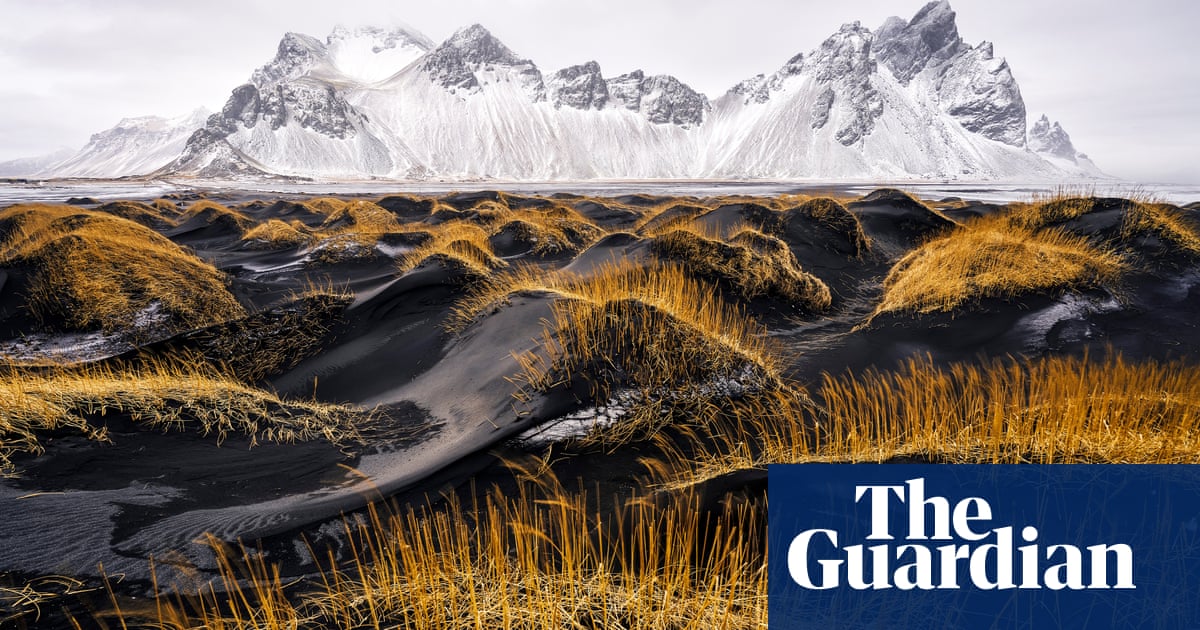 From a graceful turn to a dangerous toy: the World Nature Photography awards 2024 – in pictures