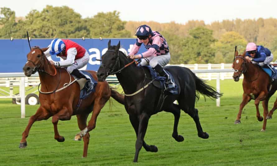 Paddy power twitter Paddy power twitter