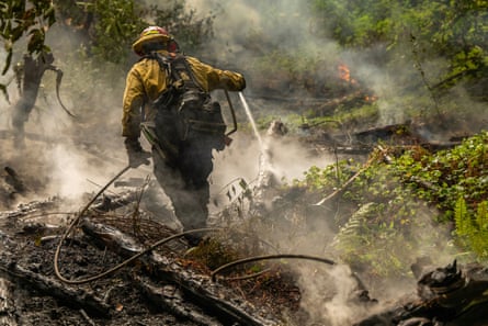 A wildland firefighter in yellow gear sprays steaming land.