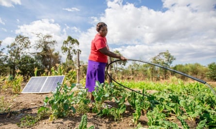 One of Bboxx’s solar-powered irrigation products in use.