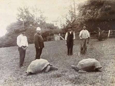 Jonathan and friends on Saint Helena in about 1886.