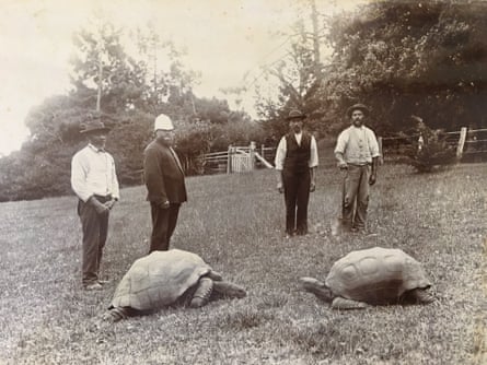 Jonathan and friends on Saint Helena in aboυt 1886.