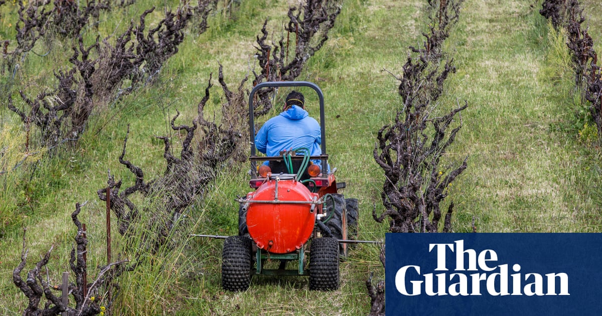 US court bans three weedkillers and finds EPA broke law in approval process | Pesticides