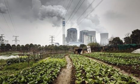 A man tends to vegetables in front of a power station in Tongling, China.