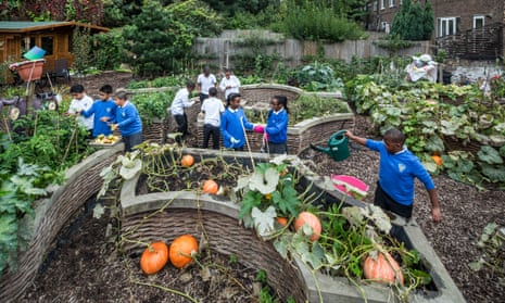 Children in their school garden