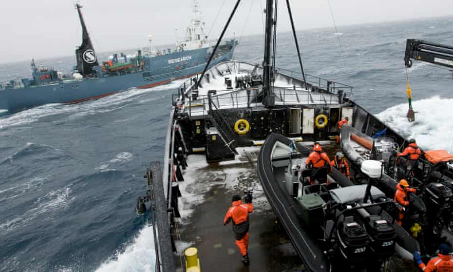 Sea Shepherd conservationists on board their ship, the Steve Irwin