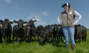 A young farmer wears a VR headset beside a herd of Angus beef cattle for McDonald’s Follow Our Foodsteps campaign.