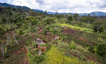 Village huts in Goroka, Eastern Highlands province, Papua New Guinea.