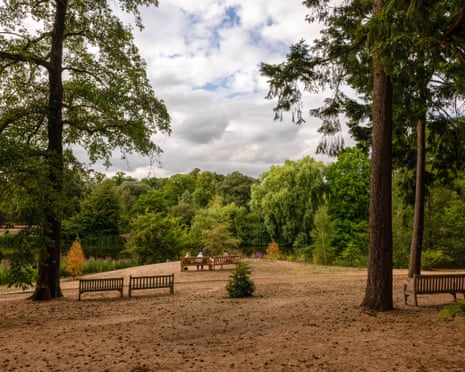 Visitors rest on lakeside benches, situated on an area of parched grass, at the Royal Botanic Gardens Kew in west London earlier this month.
