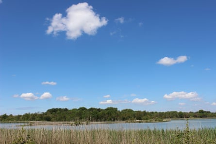 Northwich Woodlands in Cheshire.