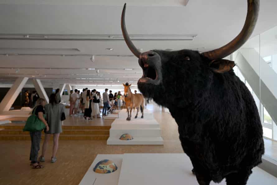 La maquette d'un aurochs au centre d'accueil de la Villa Méditerranée ; des chevaux, des bouquetins et des bisons sont également représentés sur les parois de la grotte.