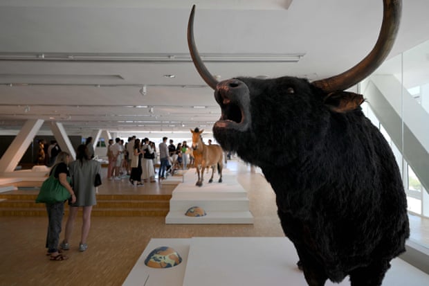 A model of an aurochs at the visitor centre at the Villa Méditerranée; horses, ibexes and bison are also depicted on the cave walls.