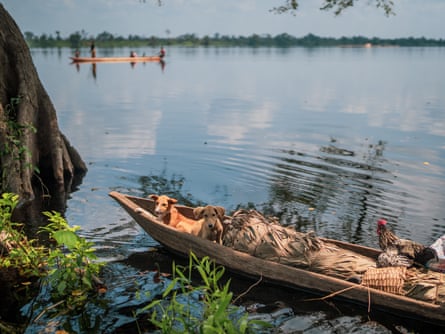 Cidades flutuantes de troncos: poderão os “pulmões de África” sobreviver à sua exploração?