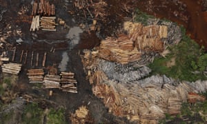 10 dangers of deforestation