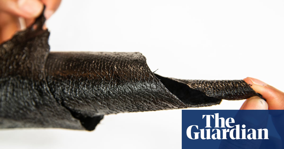 Fish leather is here, it’s sustainable – and it’s made from invasive species to boot